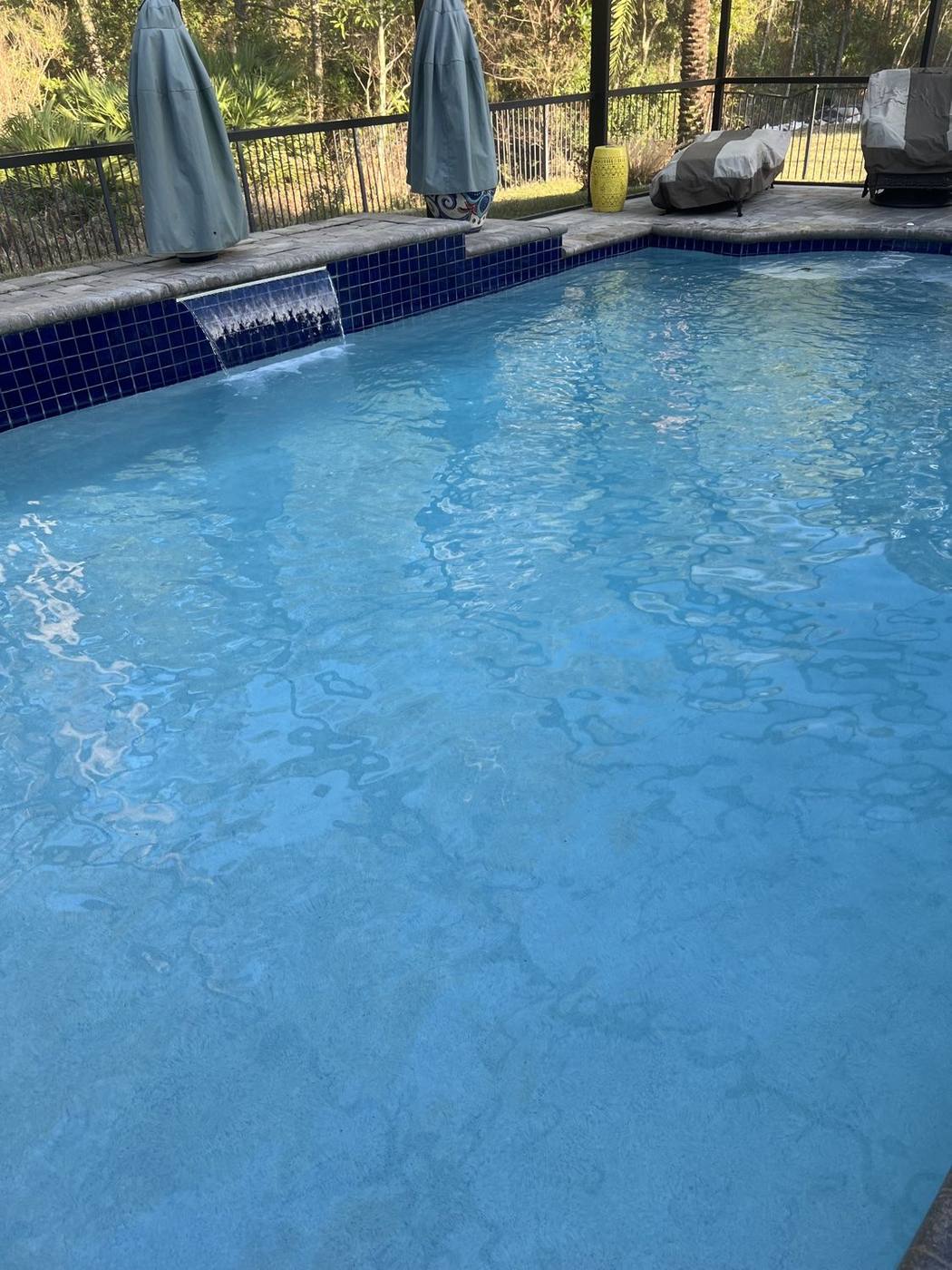 Finished backyard pool with clear blue water