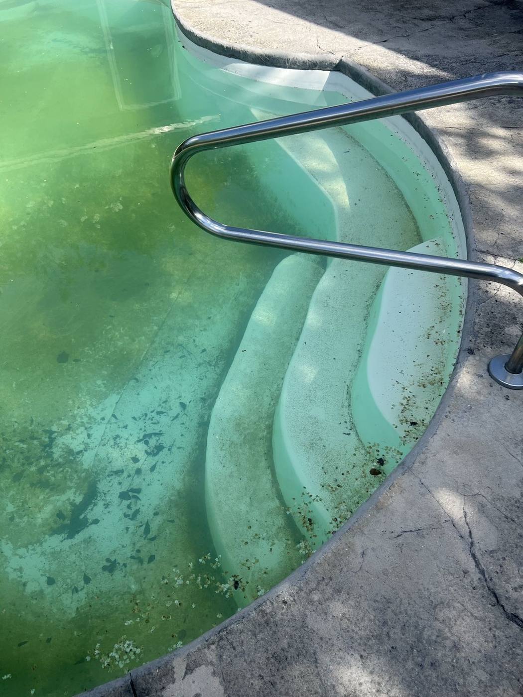 Green pool steps and handrail before treatment