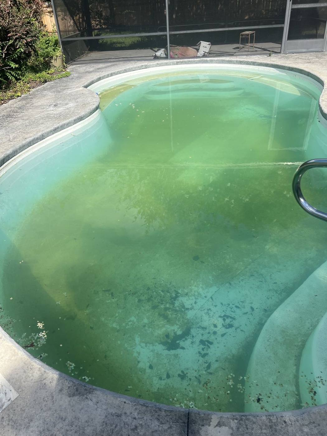 Green pool before algae removal treatment